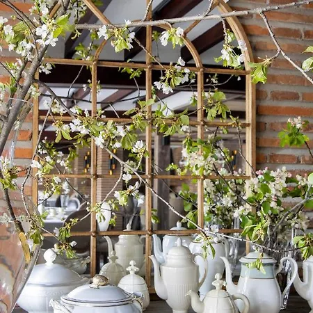 Boutique Gastronomico Rosales - Singular's Hotel